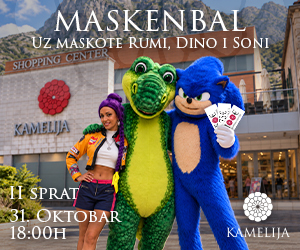 1793183626-Maskenbal Maskote Sonic i Dino 300x250.jpg